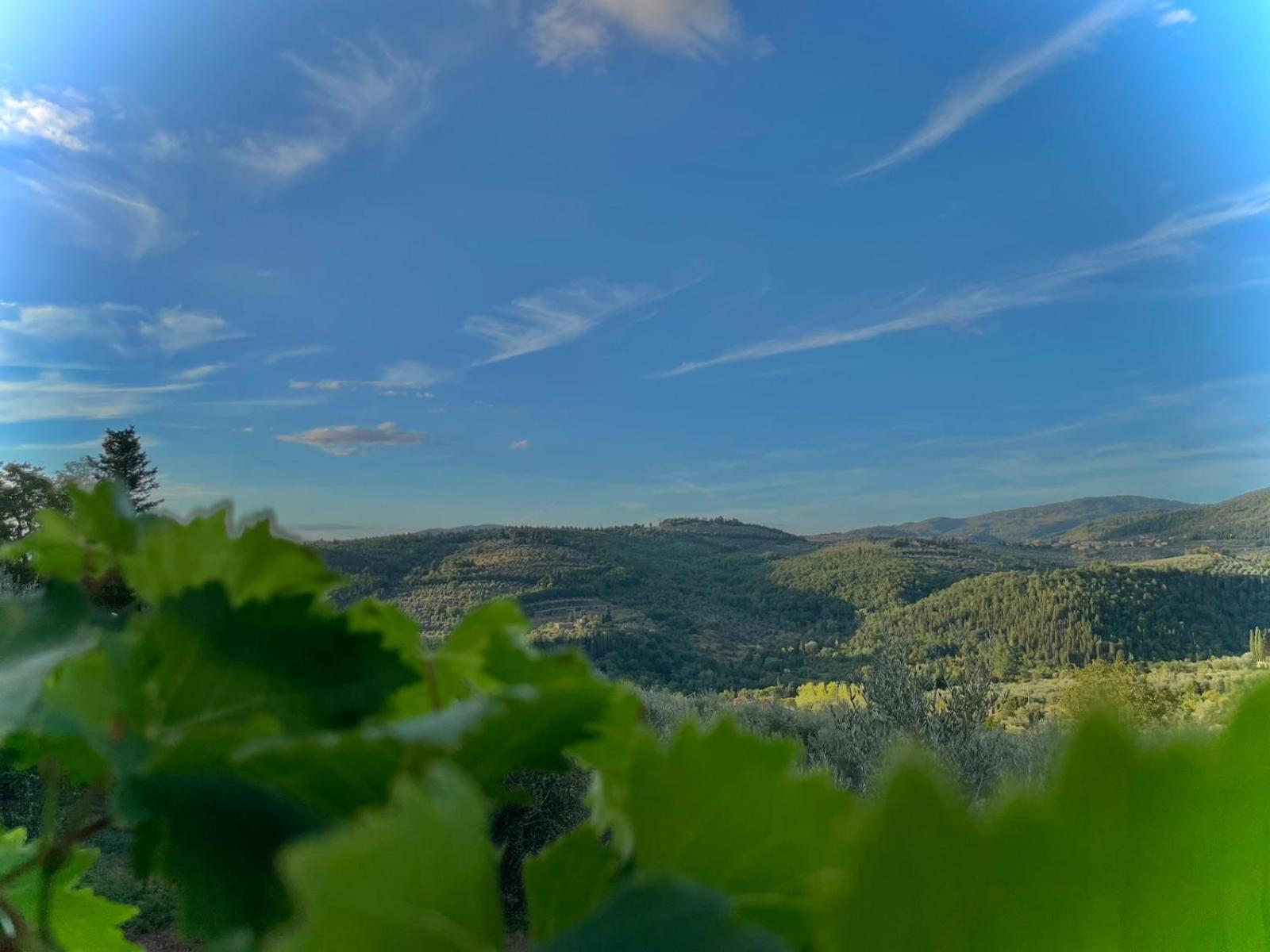 Casavacanze Nigino Donnini Dış mekan fotoğraf
